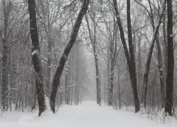Definitiv kälter als dein Tiefkühler! Der kälteste Ort der Welt